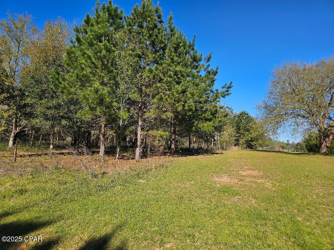 The Highlands Of Compass Lake - Land