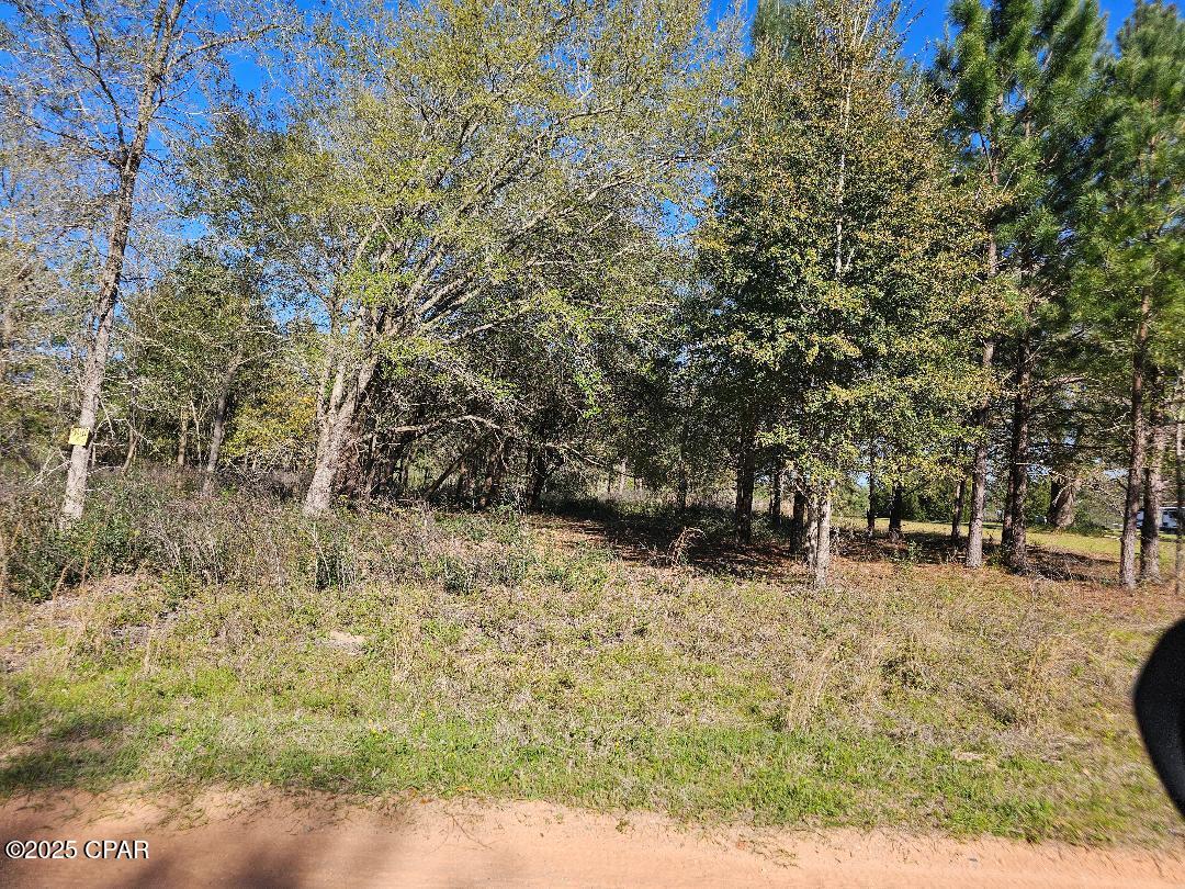 The Highlands Of Compass Lake - Land