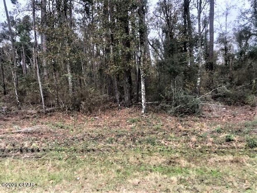 Prime 5 acre tract of land facing Hwy 90 between Cottondale and Chipley.  Ideal location for homesite with no restrictions.  It has mixture of all types of native trees.