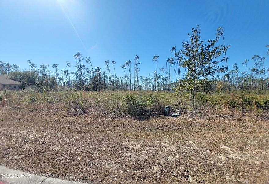 This lot is located in the gated community of Laird Point. A tranquil coastal community naturally preserved on a peninsula. Peaceful privacy but conveniently located next to the beaches and attractions. Seller owns 3 adjoining lots so purchase one, two or all three! Fees cover insurance for common areas and maintenance for roads and common area, lot and gate at front