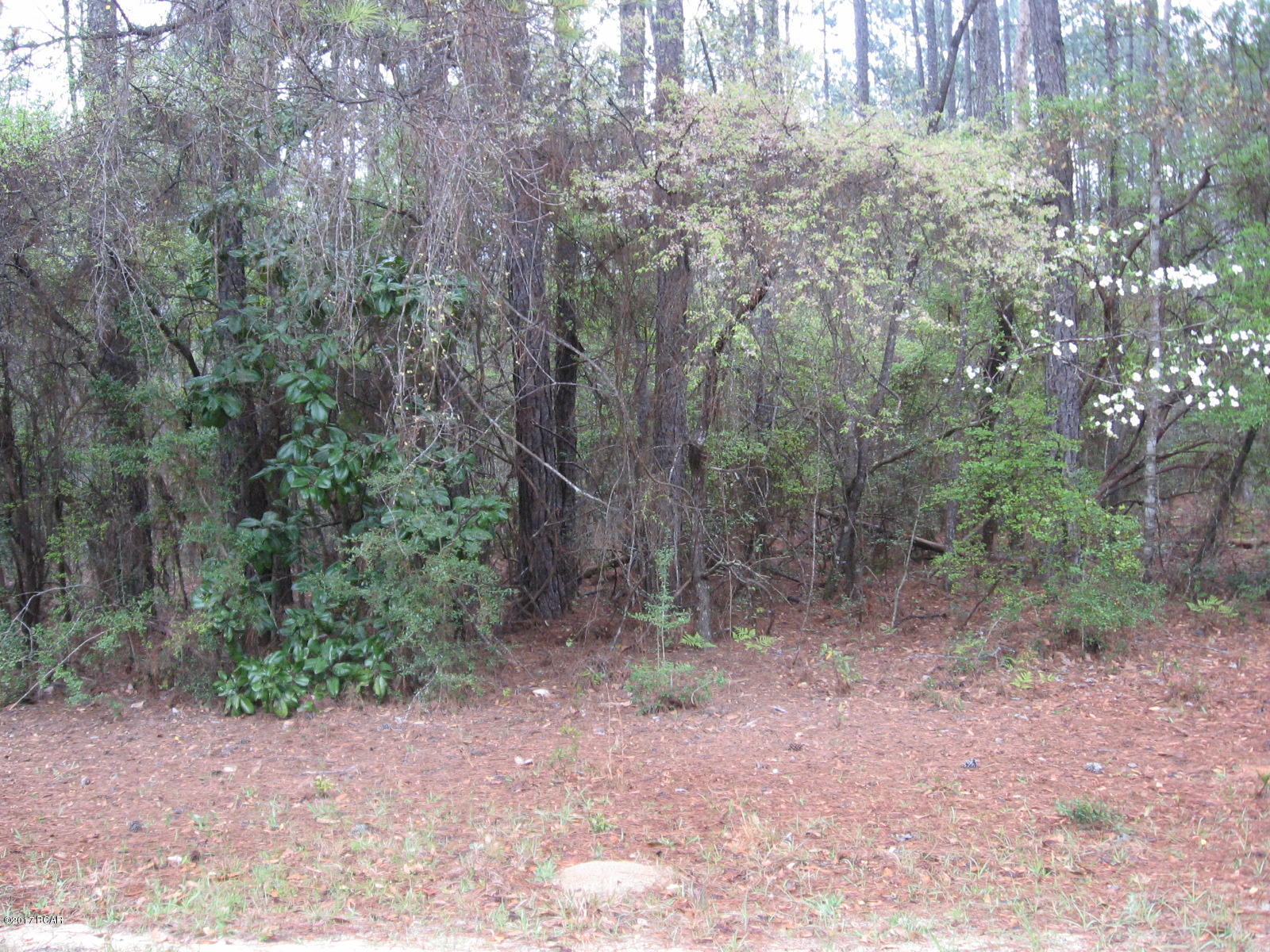 Compass Lake In The Hills - Land