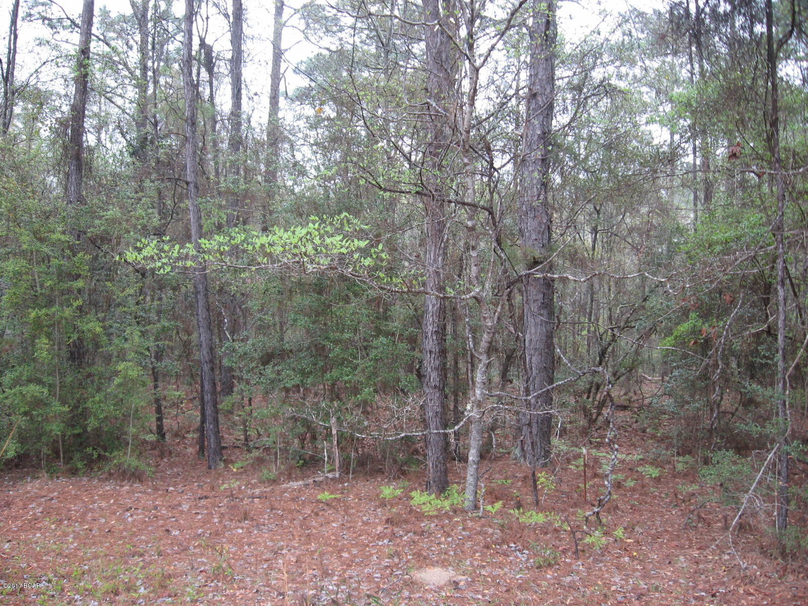 Compass Lake In The Hills - Land