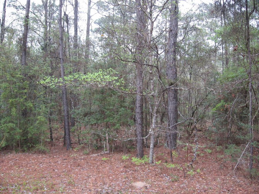 This wooded lot is high and dry.