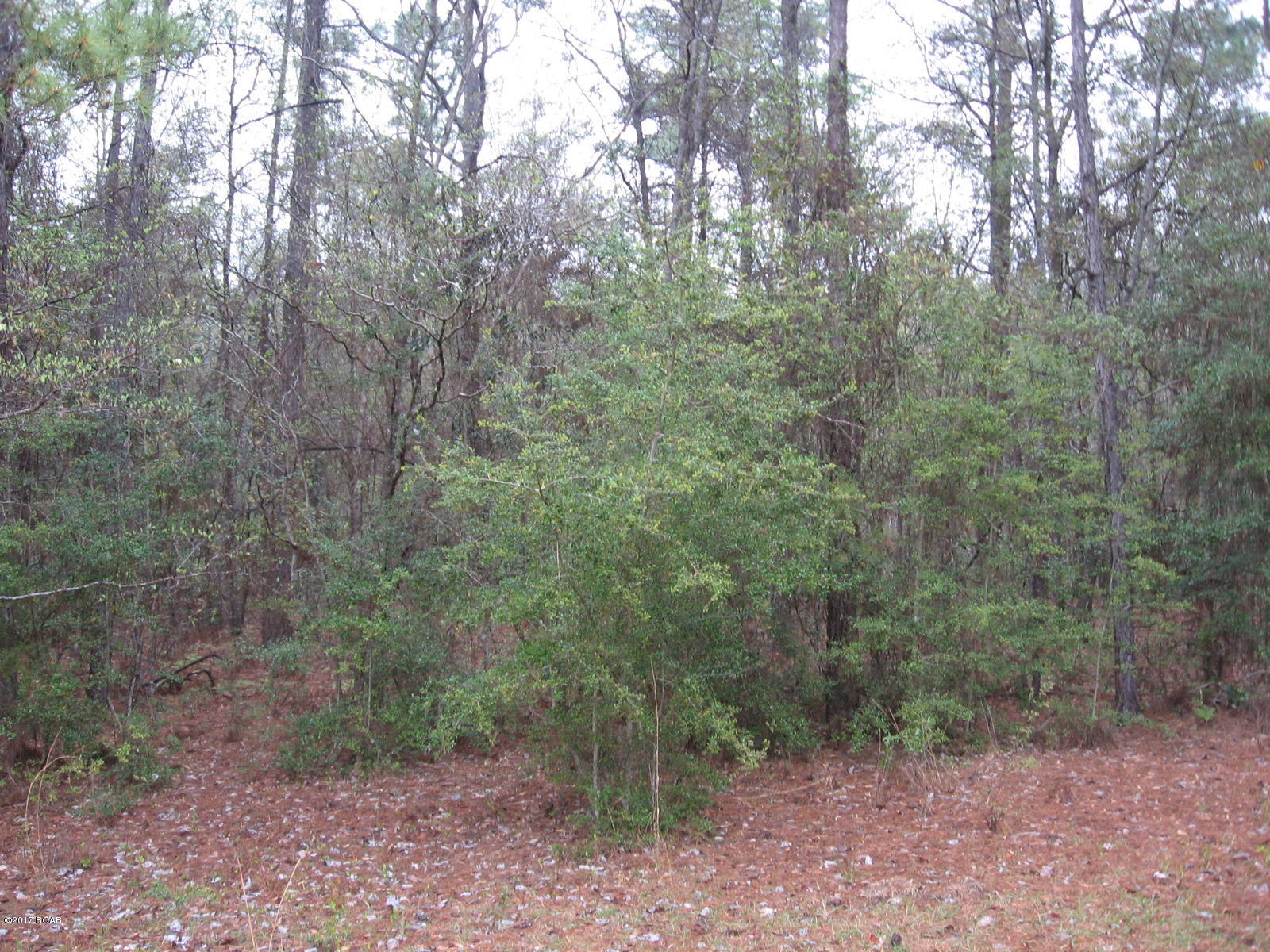 Compass Lake In The Hills - Land