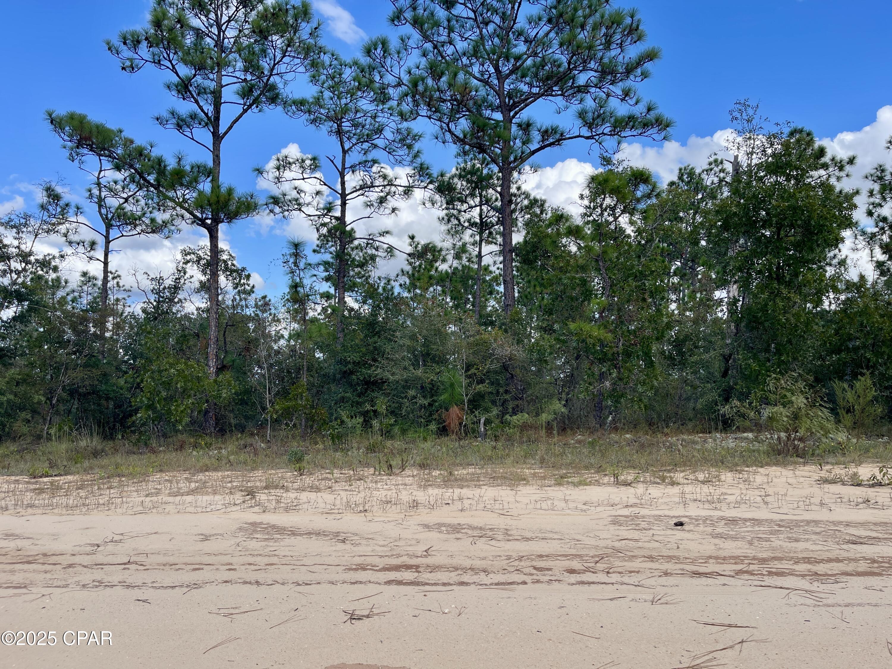 Compass Lake Hills Unit 5 - Land