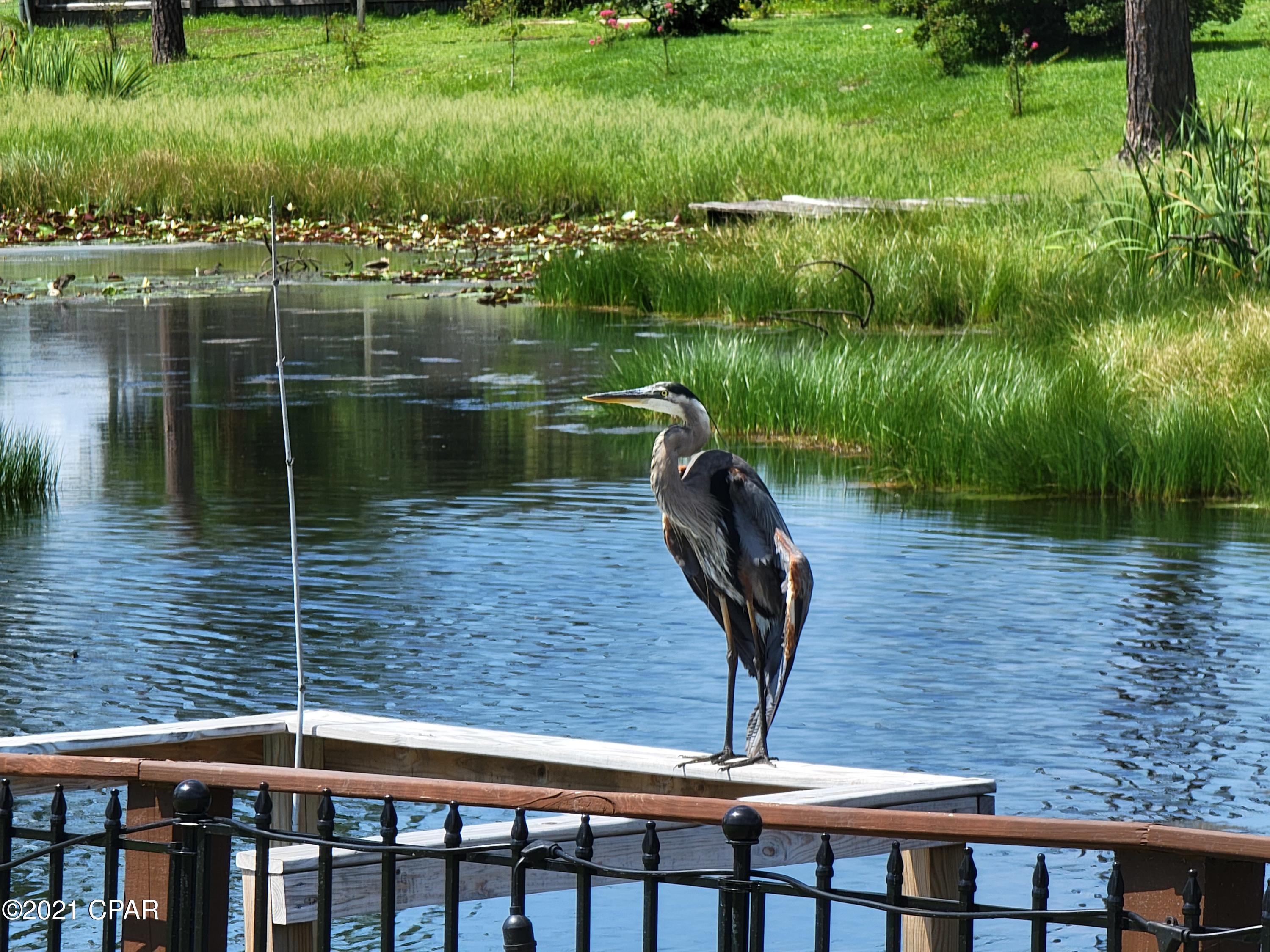 Island View Estates - Residential