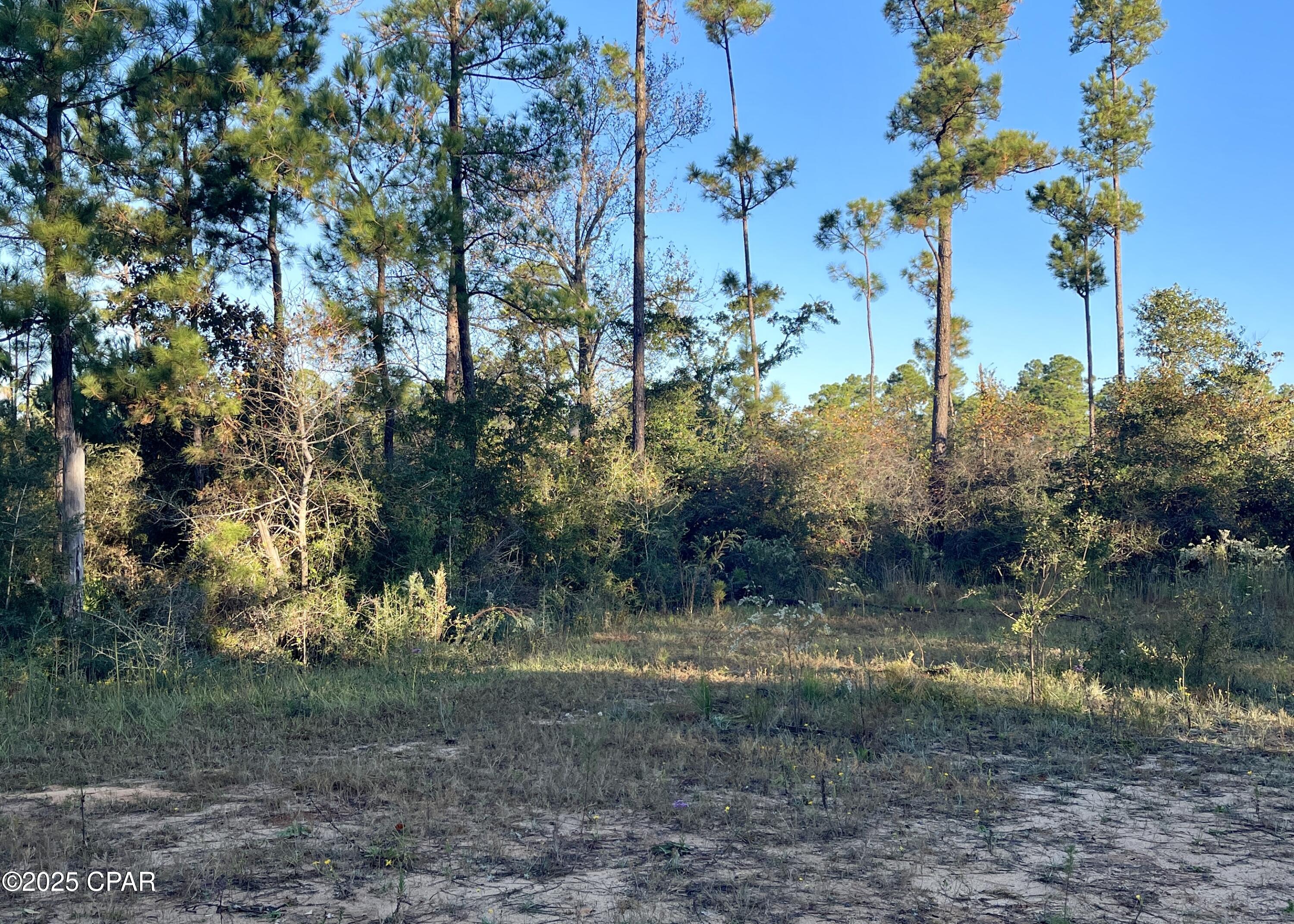 Compass Lake Hills Unit 5 - Land