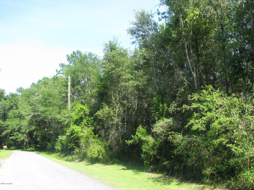 Nice wooded lot that would make a beautiful home site. This property has a mix of Pine and Oak trees throughout. It would also make a great hunting tract for it has an abundance of deer, turkey, and wild hogs in this area. It is only located minutes from downtown Marianna and has paved road access to the property.