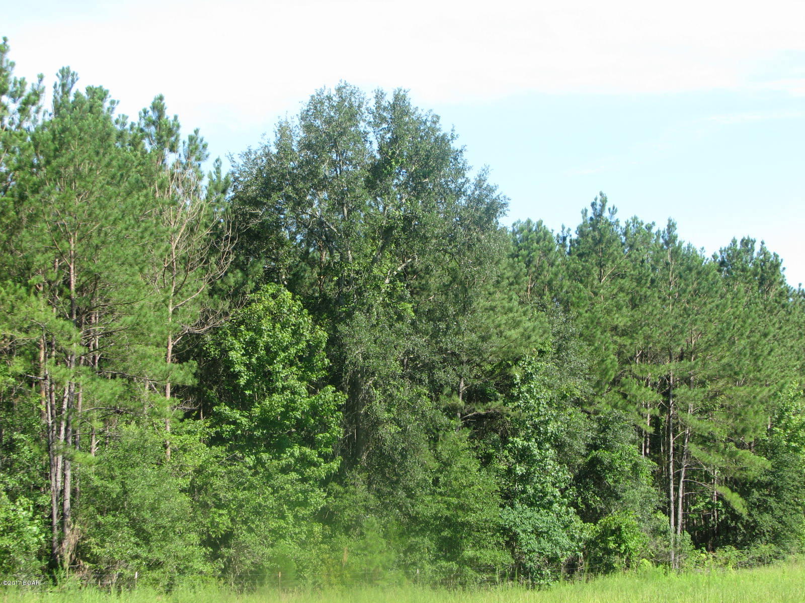 [No Recorded Subdiv] - Land