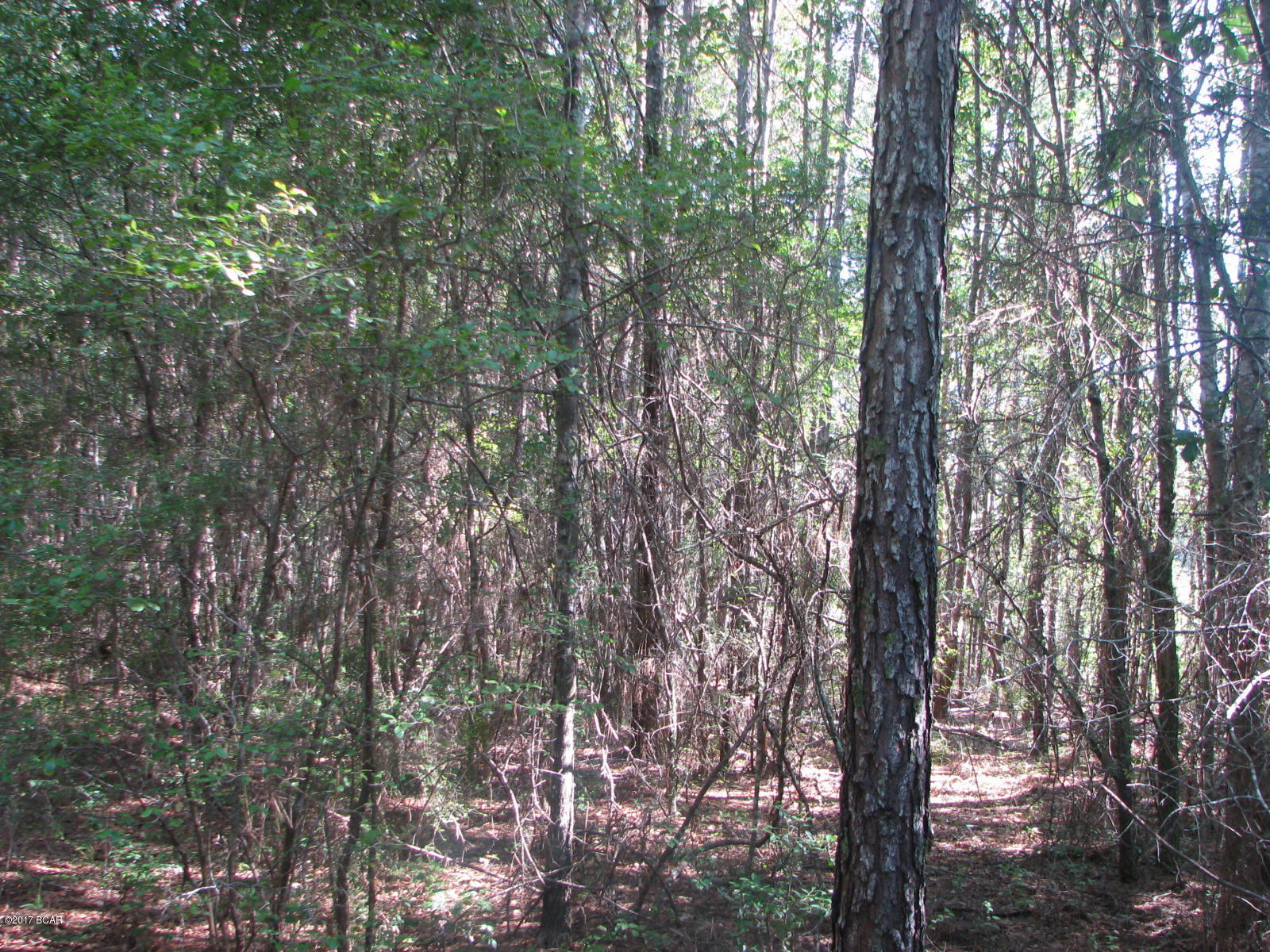 [No Recorded Subdiv] - Land