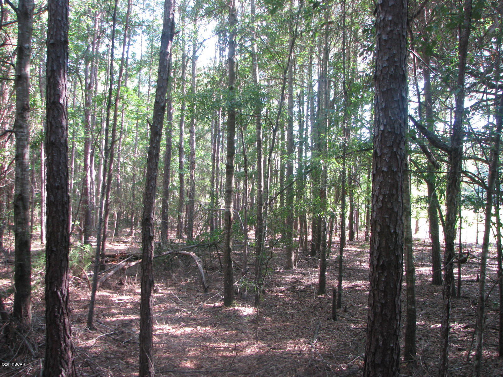 [No Recorded Subdiv] - Land