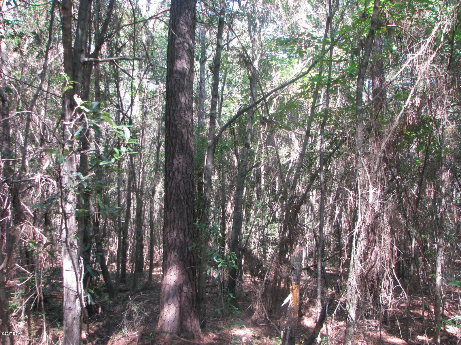 [No Recorded Subdiv] - Land