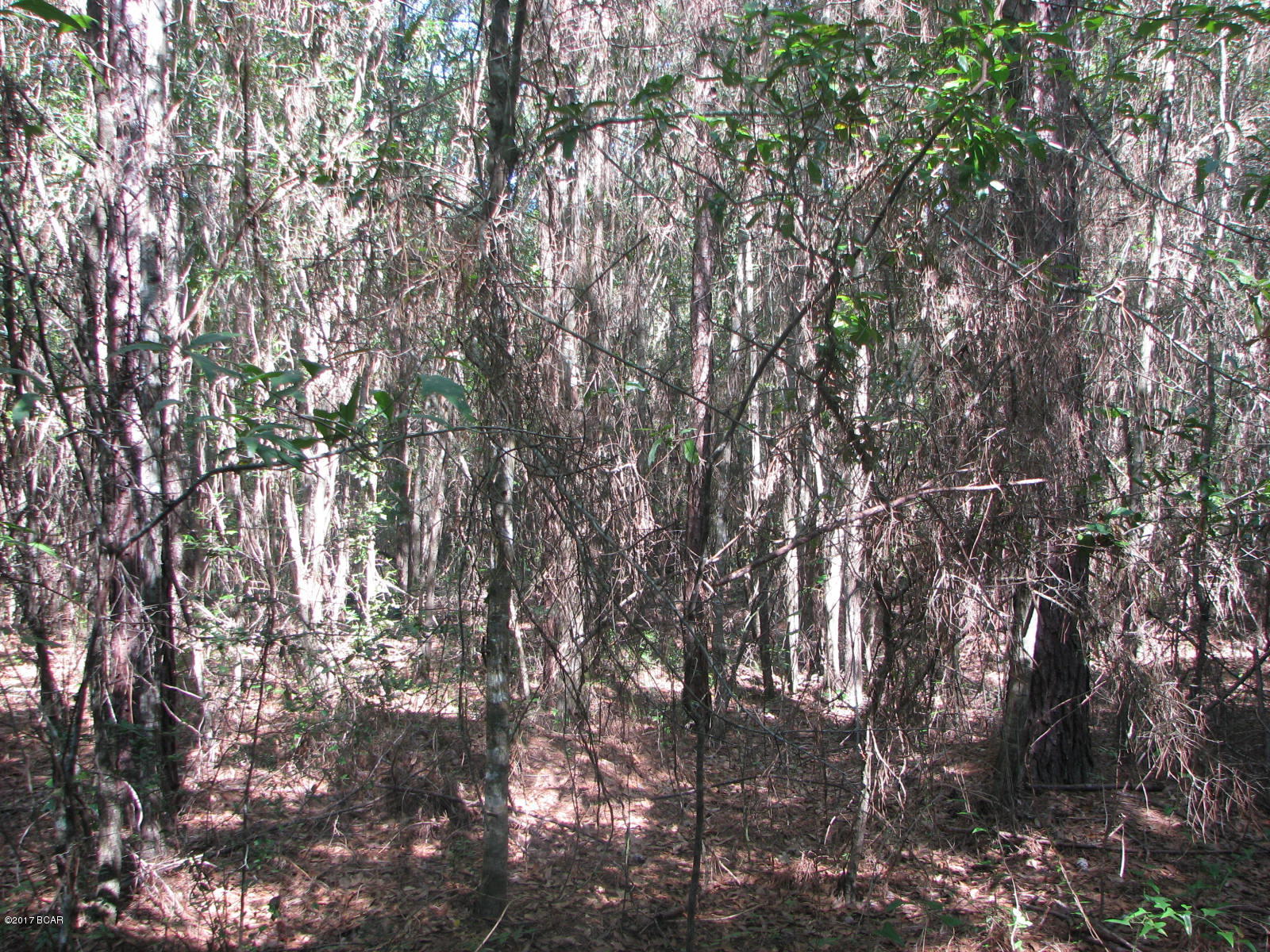 [No Recorded Subdiv] - Land