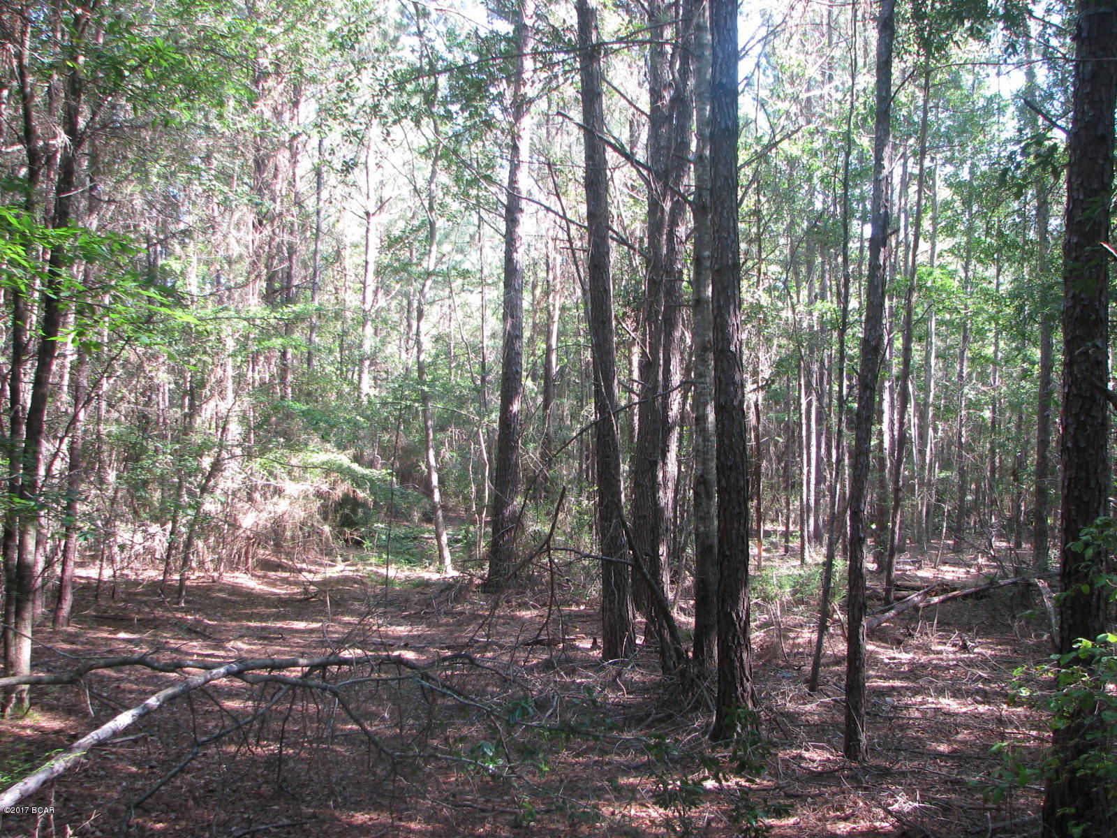 [No Recorded Subdiv] - Land