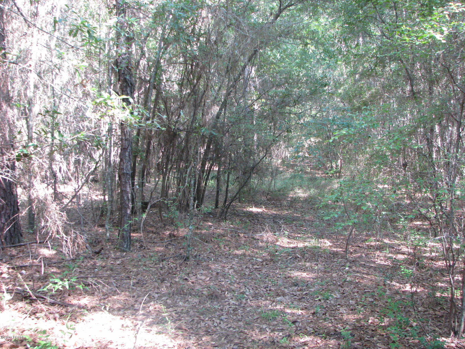 [No Recorded Subdiv] - Land