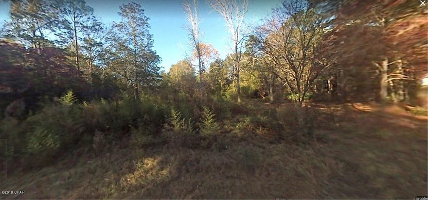 Double lot in the Green Hills area of Fountain.  This is approx. 100x135 and the zoning is R-2 which means you could build a single family dwelling, put in a mobile home or stick-built home, or even build a duplex per the Bay County Zoning Department Regulations.  There are no utilities currently hooked up, but electric is available.  All info is approx. and must be verified by Buyers if important.