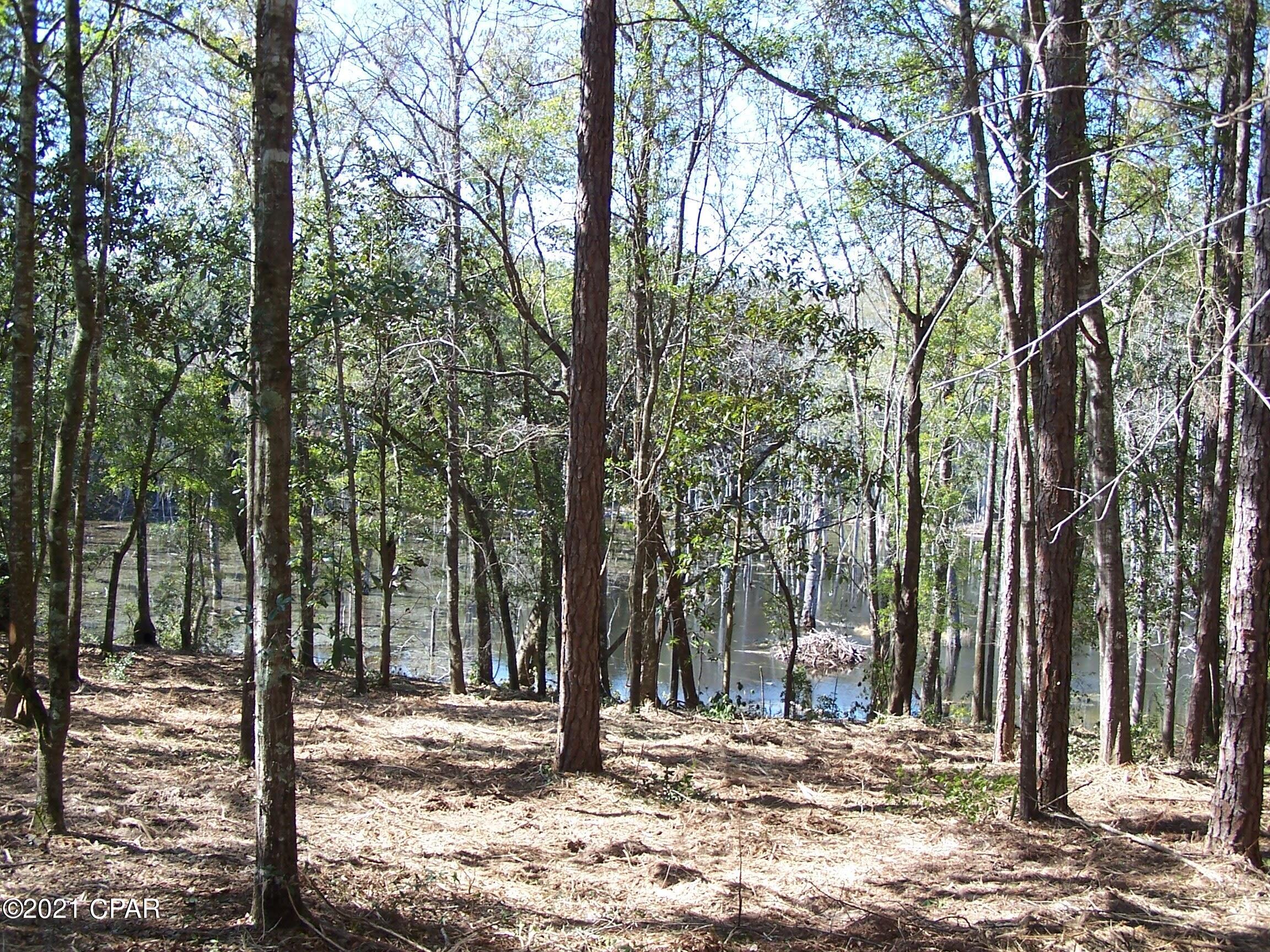 Compass Lake In The Hills - Land