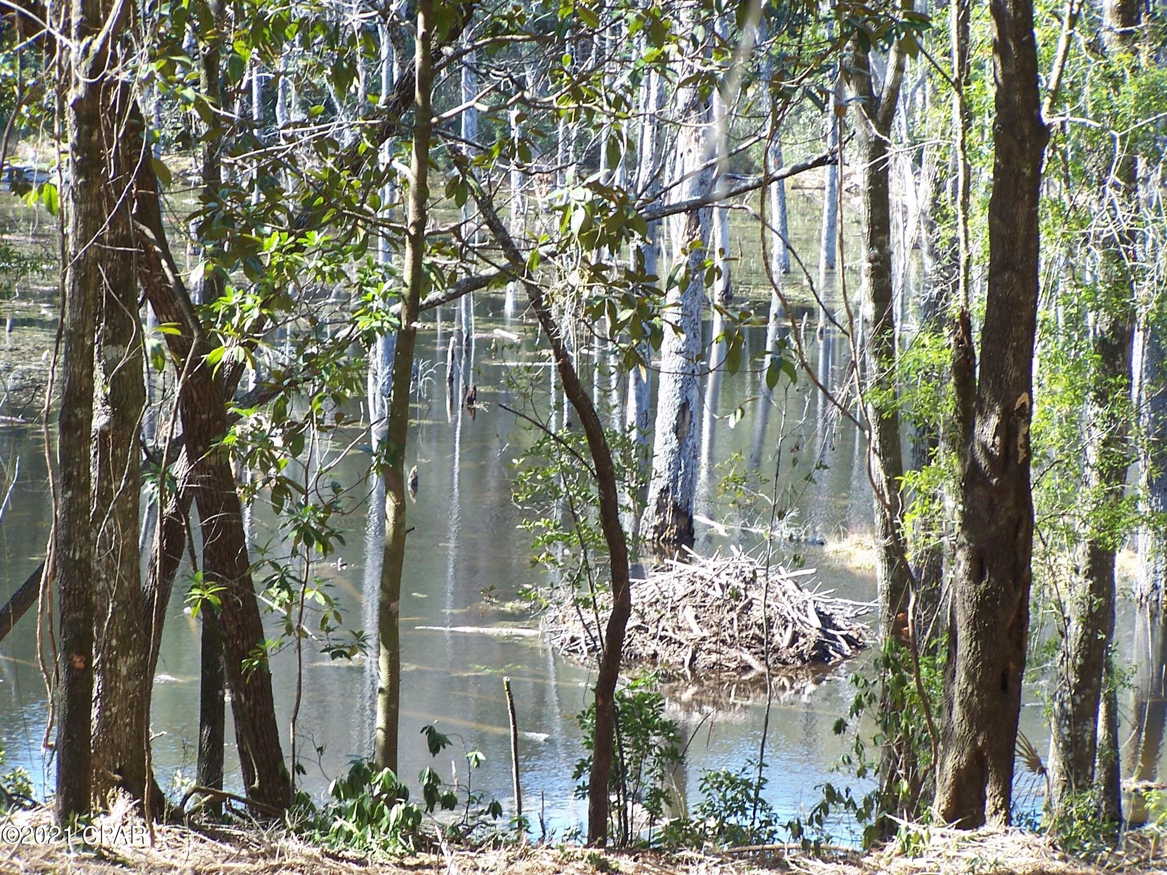 Compass Lake In The Hills - Land