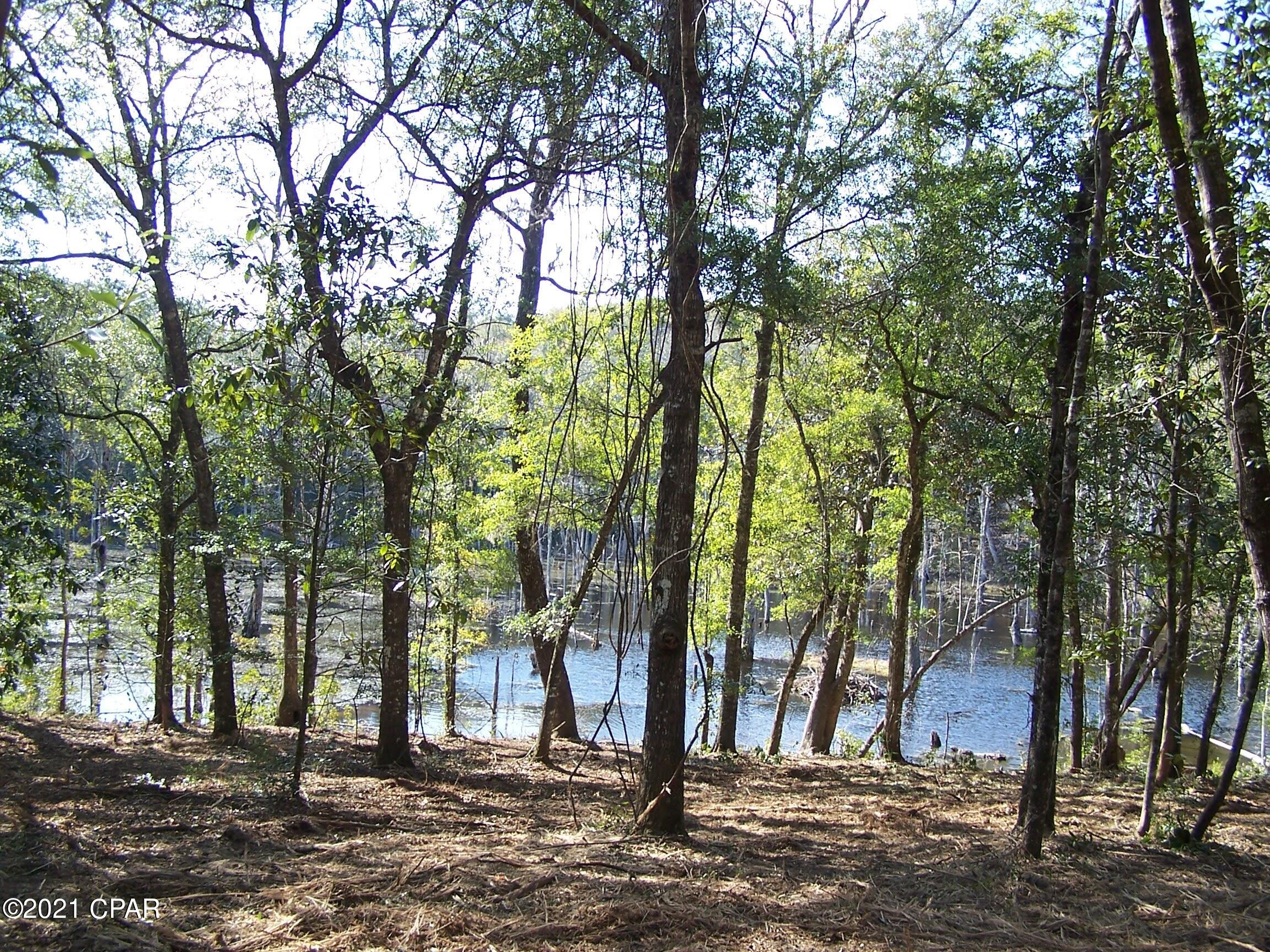 Compass Lake In The Hills - Land