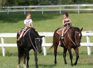 Compass Lake In The Hills - Land