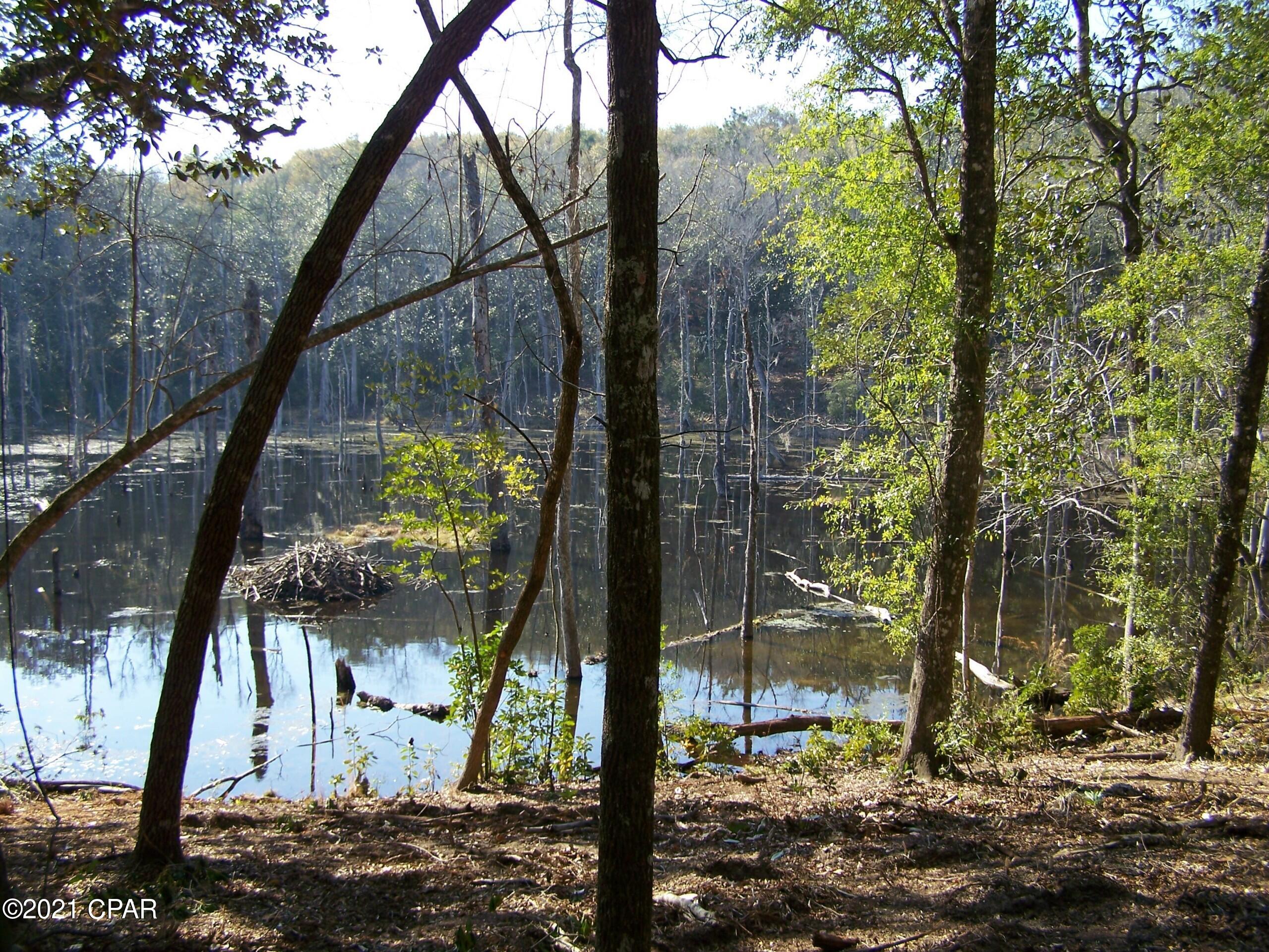 Compass Lake In The Hills - Land
