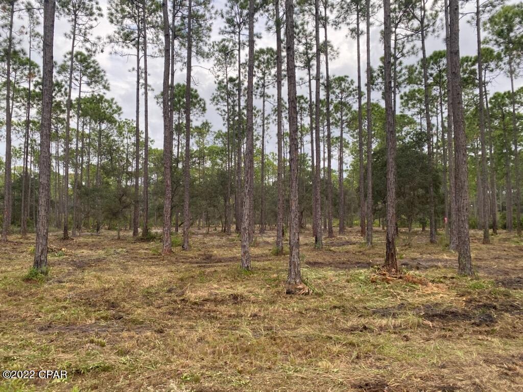 Rivercamps On Crooked Creek Ph 2 - Land