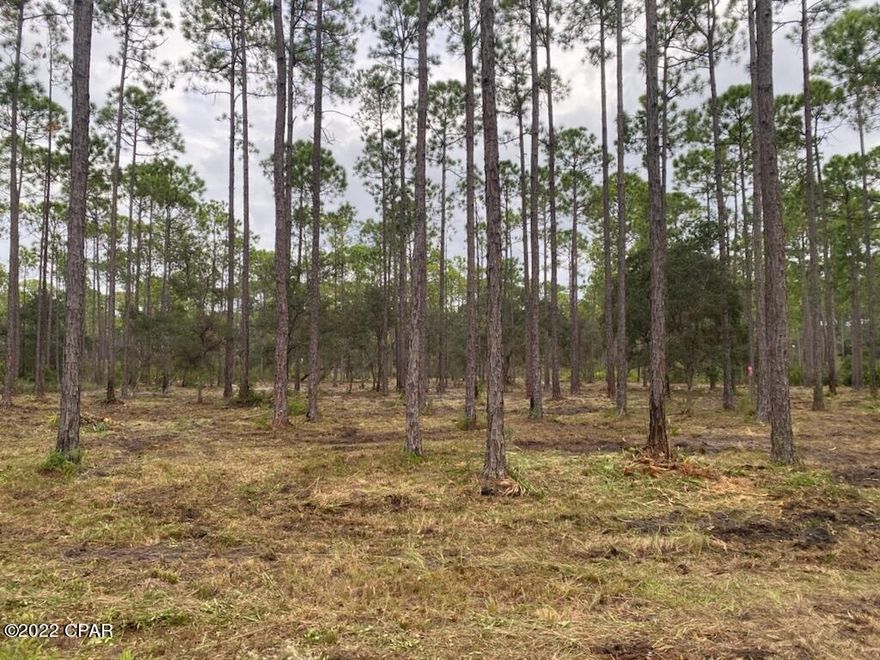 Beautiful huge lot, setbacks minimal, small oak   trees, great location