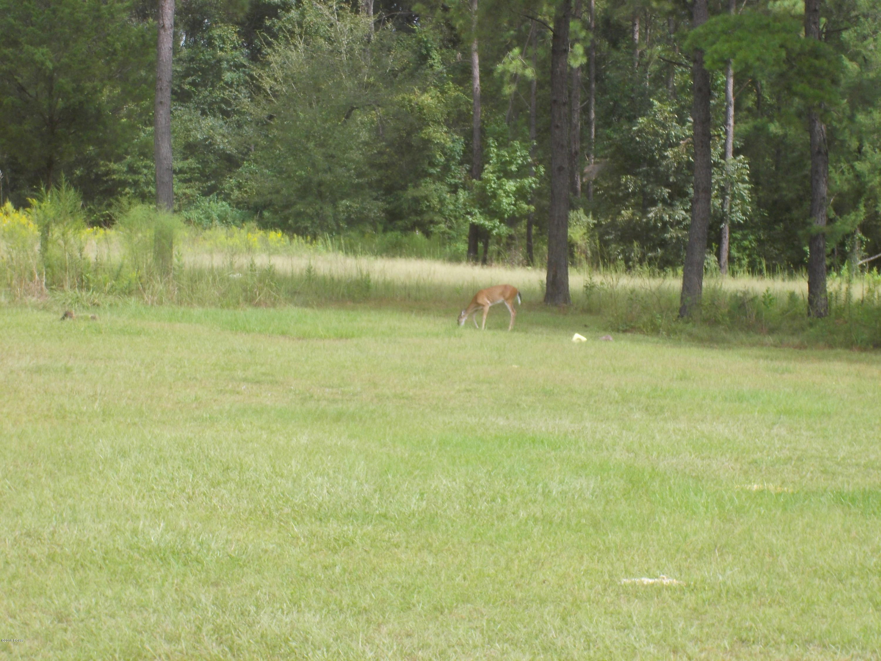 [No Recorded Subdiv] - Land