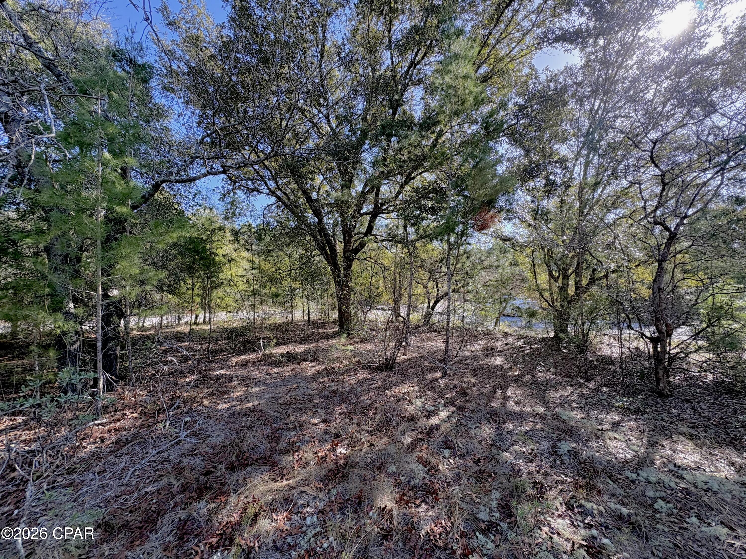 Sunny Hills Unit 1 - Land