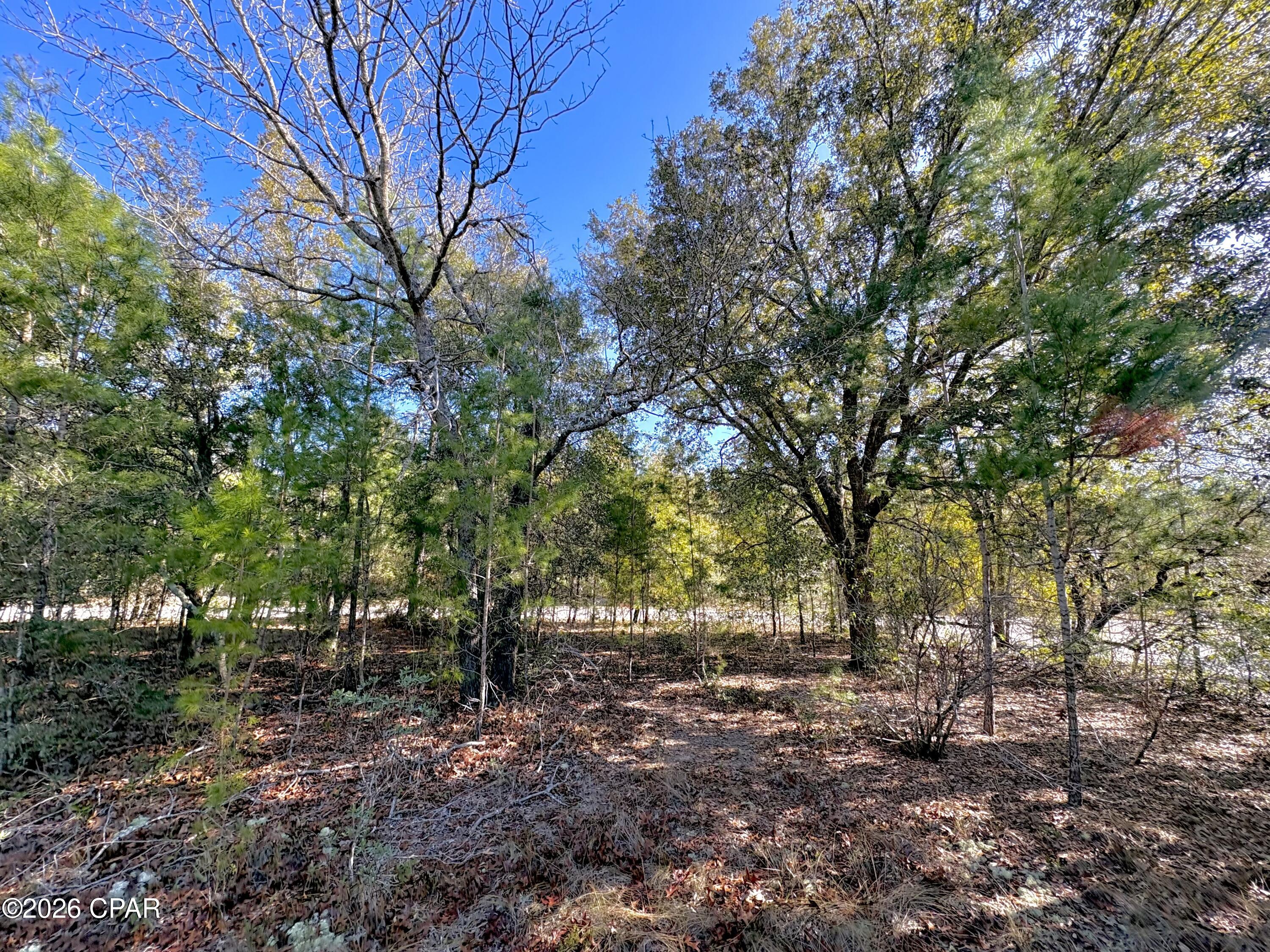 Sunny Hills Unit 1 - Land