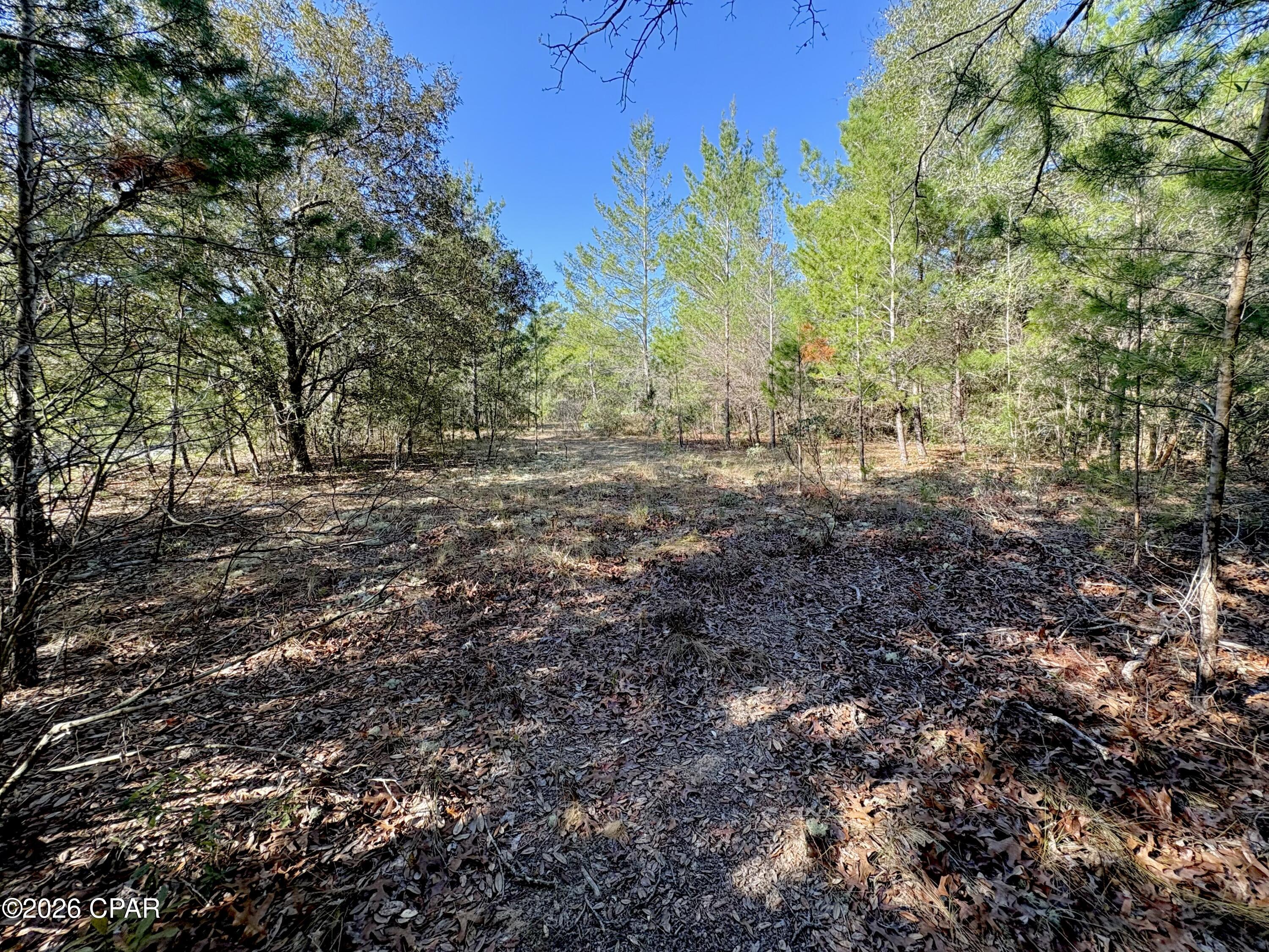 Sunny Hills Unit 1 - Land