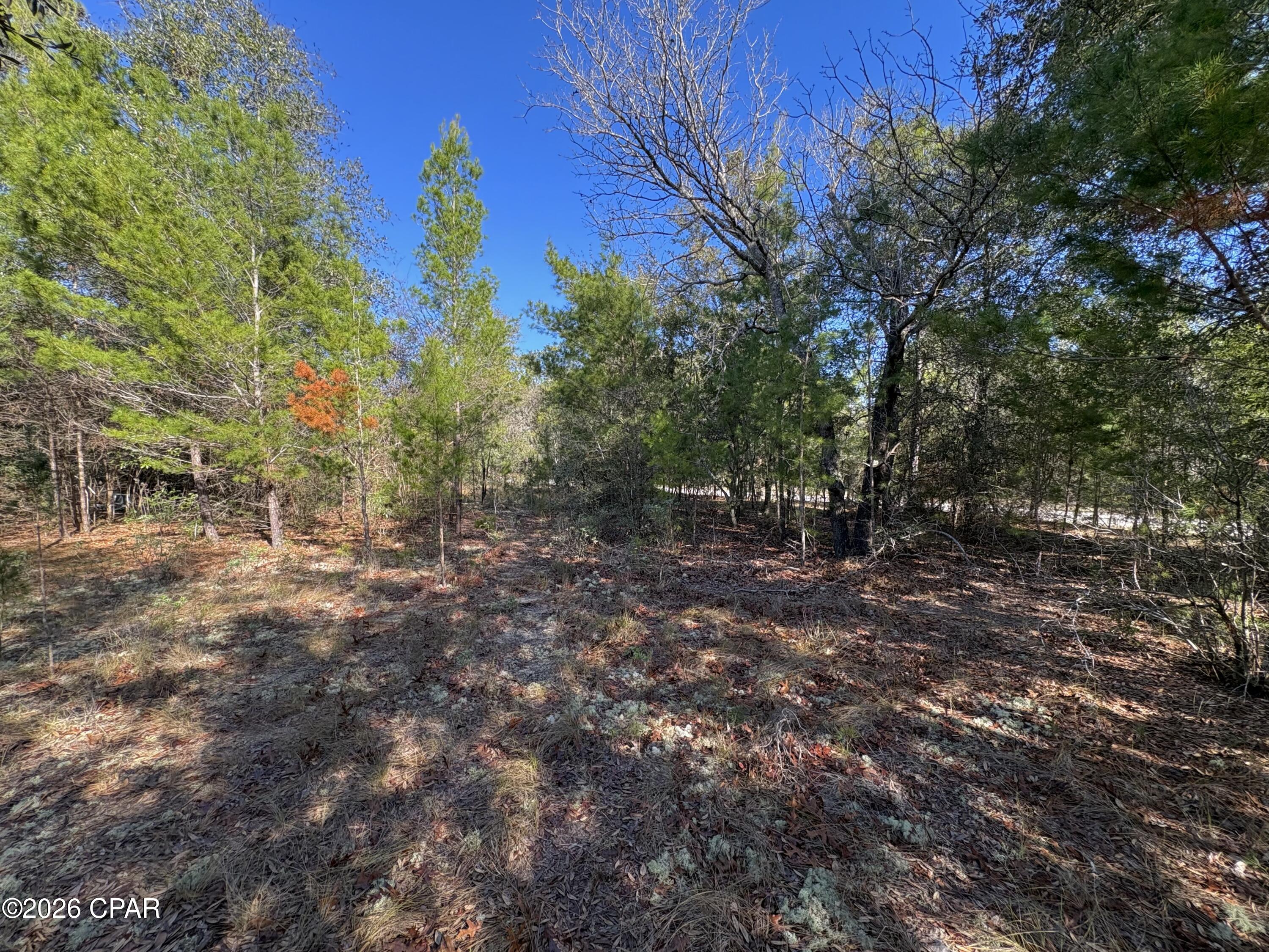 Sunny Hills Unit 1 - Land