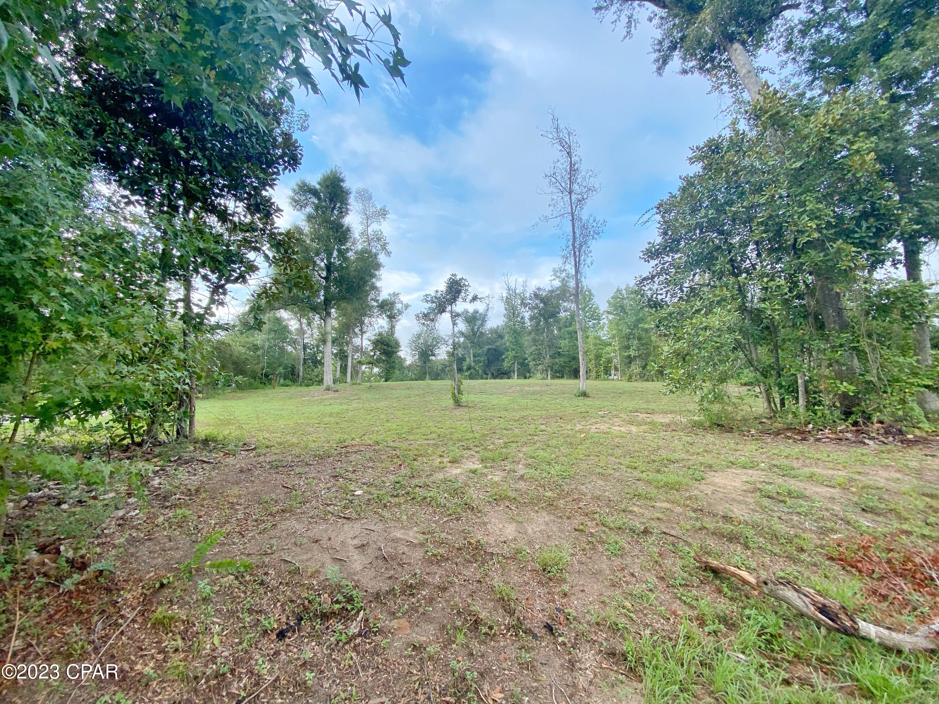 Indian Springs - Land