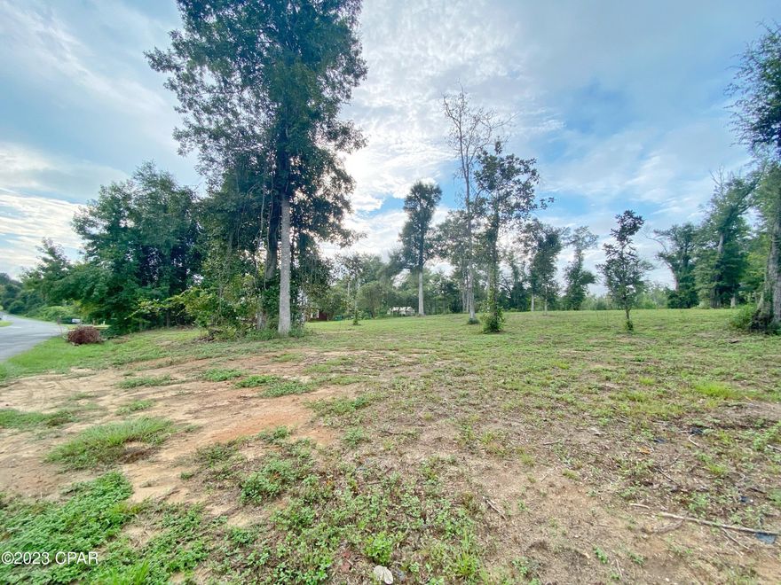 Discover the perfect canvas for your dream home at this vacant residential lot, strategically situated near the cul-de-sac on Hole 16 of the Indian Springs Golf Course. This is your opportunity to secure your new homesite in a community where luxury living meets the tranquility of the fairways.

Location, Location, Location:
Nestled within the serene Indian Springs Golf Course community, this vacant lot boasts stunning views of Hole 16 and is conveniently positioned near a cul-de-sac, offering added privacy and minimal through-traffic.

No HOA Restrictions:
Enjoy the freedom of building your dream home without the constraints of an HOA, allowing you to design a residence that suits your unique lifestyle.

Deed Restrictions:
Deed restrictions ensure the quality of the neighborhood, including:
No mobile homes, preserving the aesthetic appeal of the community.
Minimum dwelling size of 2,200 square feet heated and cooled for one-story homes, ensuring spacious living.
Minimum dwelling size of 2,600 square feet heated and cooled for multi-story homes, offering ample space for your family.
Setbacks of 40 feet from the road, 15 feet from side property lines, and 50 feet from the rear property line, ensuring privacy and spacious yards.
Exterior materials limited to brick veneer, stucco, or stone, maintaining the elegance of the neighborhood.

Golf Course Living:
Imagine waking up to breathtaking views of the golf course every day, with the opportunity to play a round whenever you desire.

Endless Possibilities:
With these deed restrictions and a generous lot size, you have the creative freedom to design the home you've always envisioned, from a luxurious single-story oasis to a multi-story masterpiece.