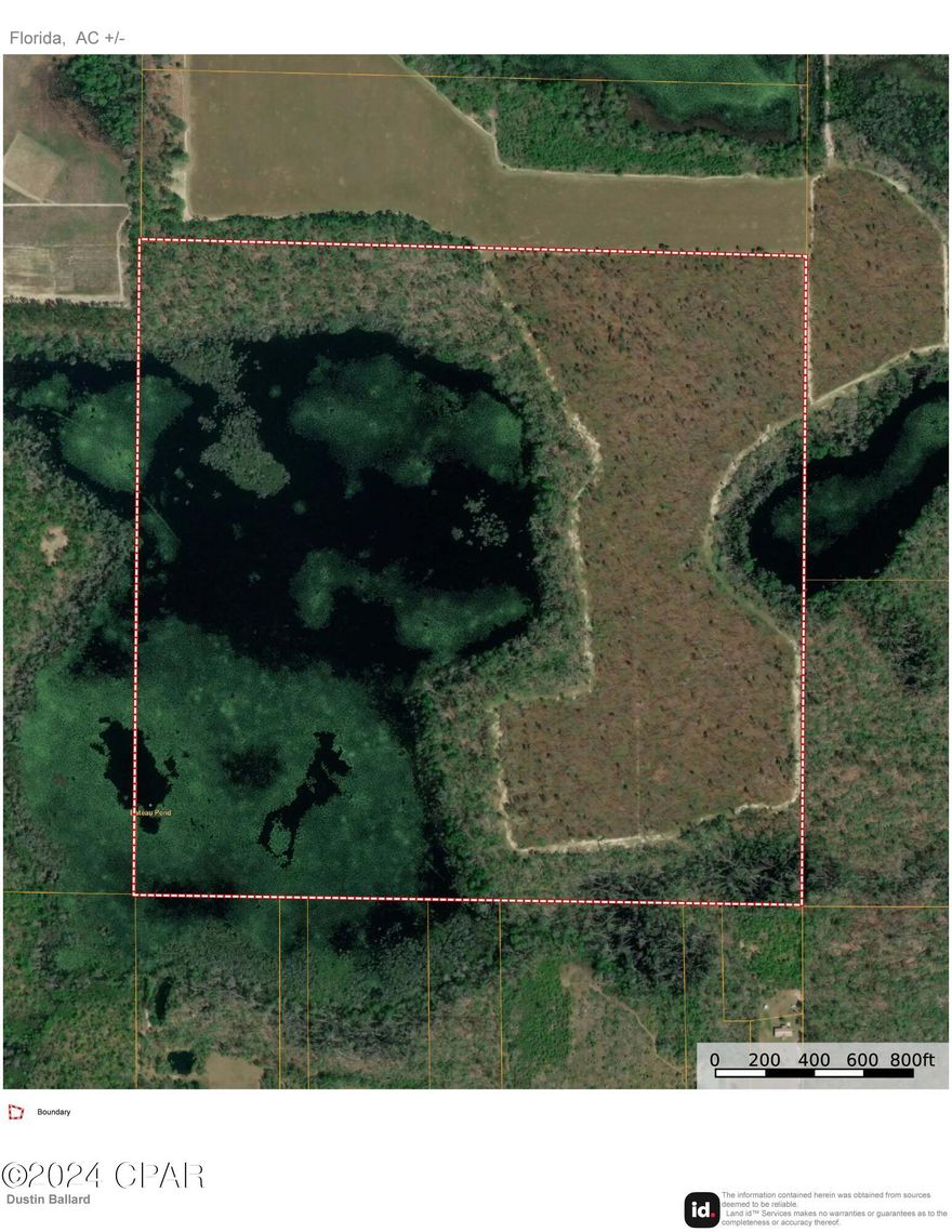 Beautiful 160 acres with Bateau Pond on it. Drone video and photos to come.