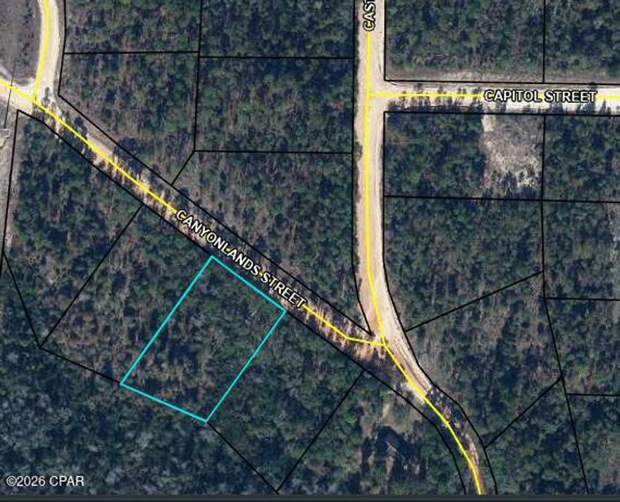 Build your dream home on this 1-acre vacant land lot located in the desirable Compass Lake in the Hills community in Alford, FL. This spacious parcel offers flexibility for site-built, mobile, or manufactured homes, making it a great opportunity for a variety of buyers.

Compass Lake in the Hills features a voluntary homeowners association, providing optional access to a range of community amenities including a swimming pool, clubhouse, disc golf course, golf driving range, on-site restaurant, and more. Residents can also enjoy outdoor recreation such as boating, fishing, and relaxing around nearby lakes within this scenic 10,000-acre community.

Whether you're looking to build now or invest for the future, this property offers peaceful surroundings with convenient access to nearby towns and major roadways.

All information is deemed reliable but not guaranteed. Buyers should verify all details important to them.