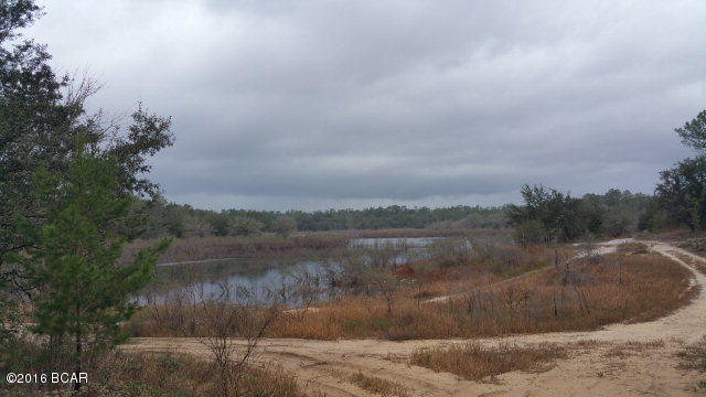 Sunny Hills - Residential