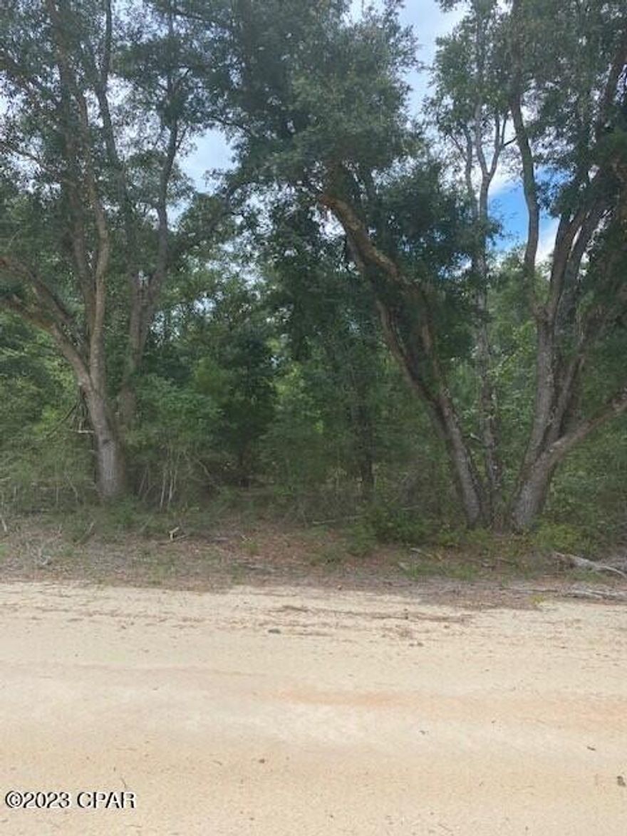 A great lot for a home site, weekend get a way or investment property. You can fish, swim, boat on Compass Lake. Pristine Lake McCormick doesn't allow gasoline motors but has excellent fishing and swimming. Close enough Panama City Fl. and Beaches less than an hour away.