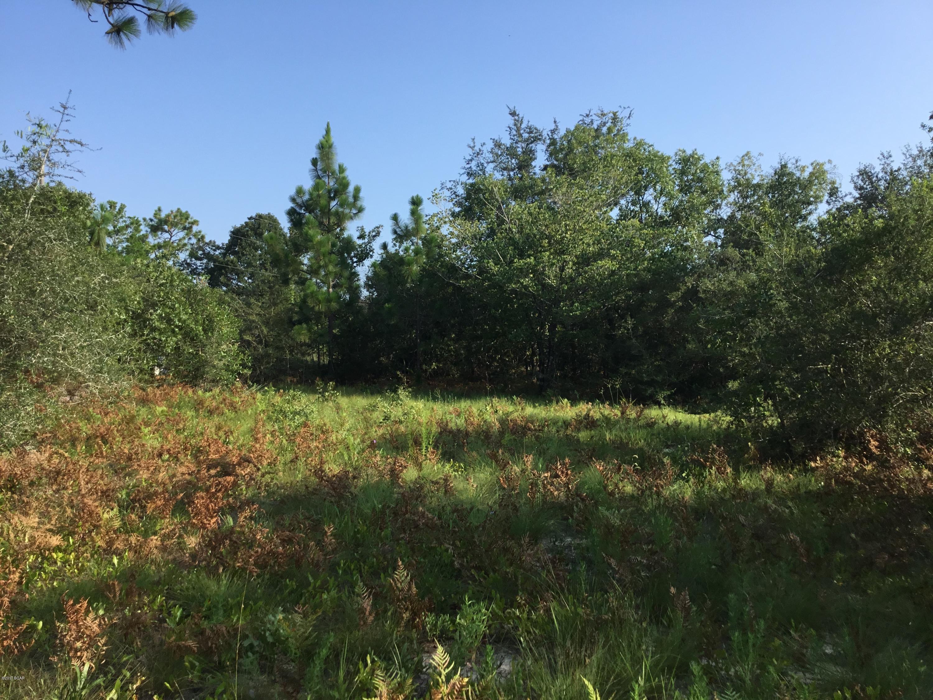 Buckhorn Creek - Land