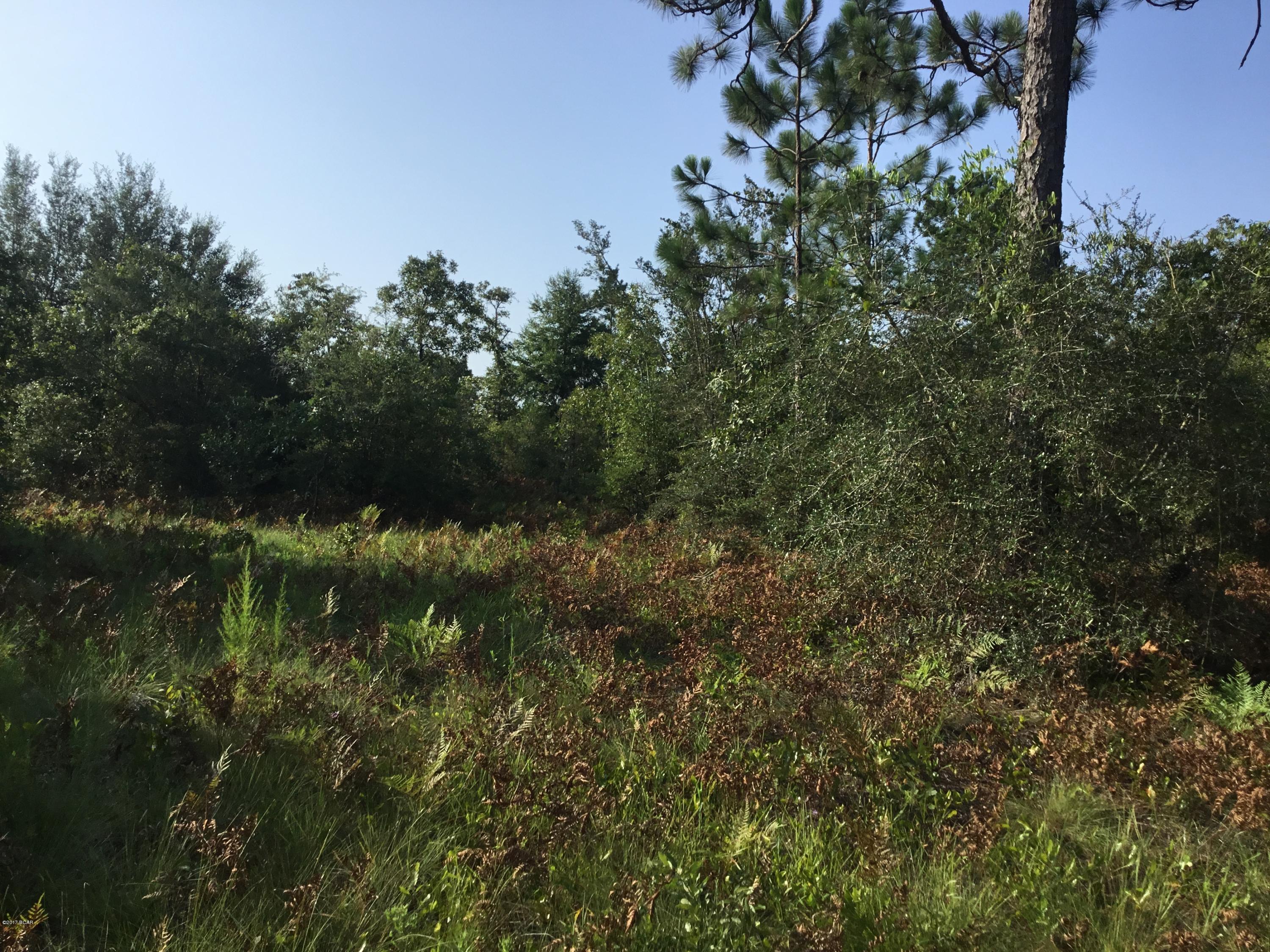 Buckhorn Creek - Land