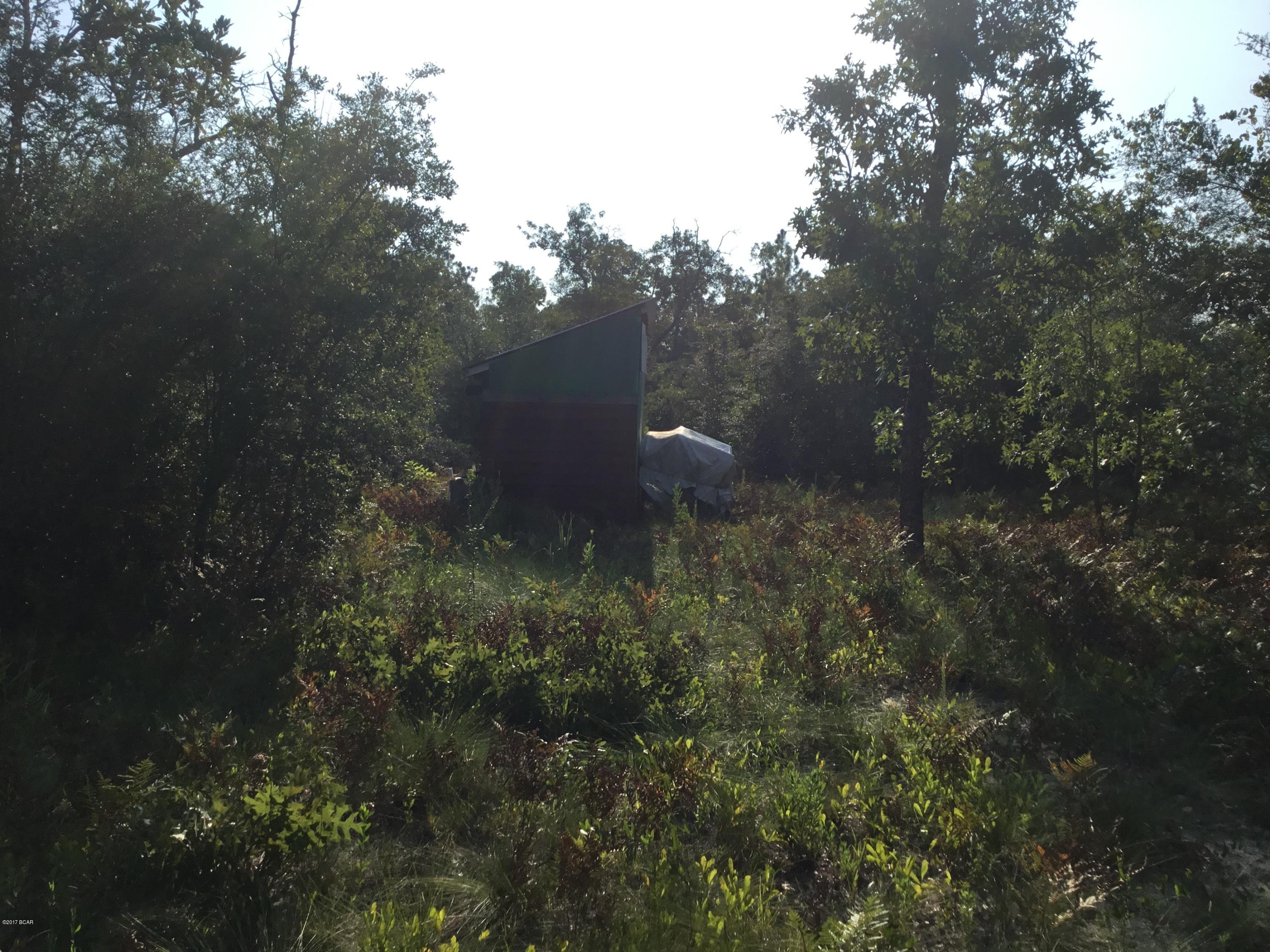 Buckhorn Creek - Land