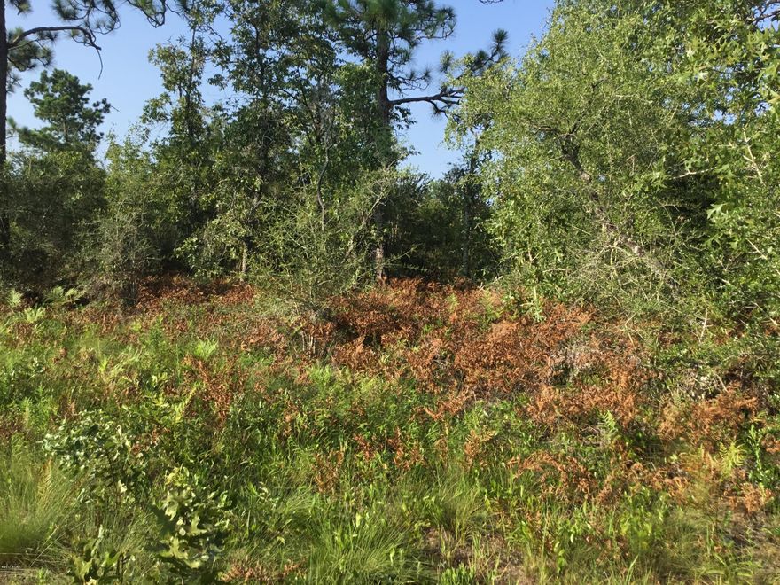 Looking for the country life,this could be for you. This 2.62 acres of wooded  property is out in the country,its in South Washington County. Just waiting for that new house to be built or mobile home. Great hunting and fishing in the area. Call today for your appointment.