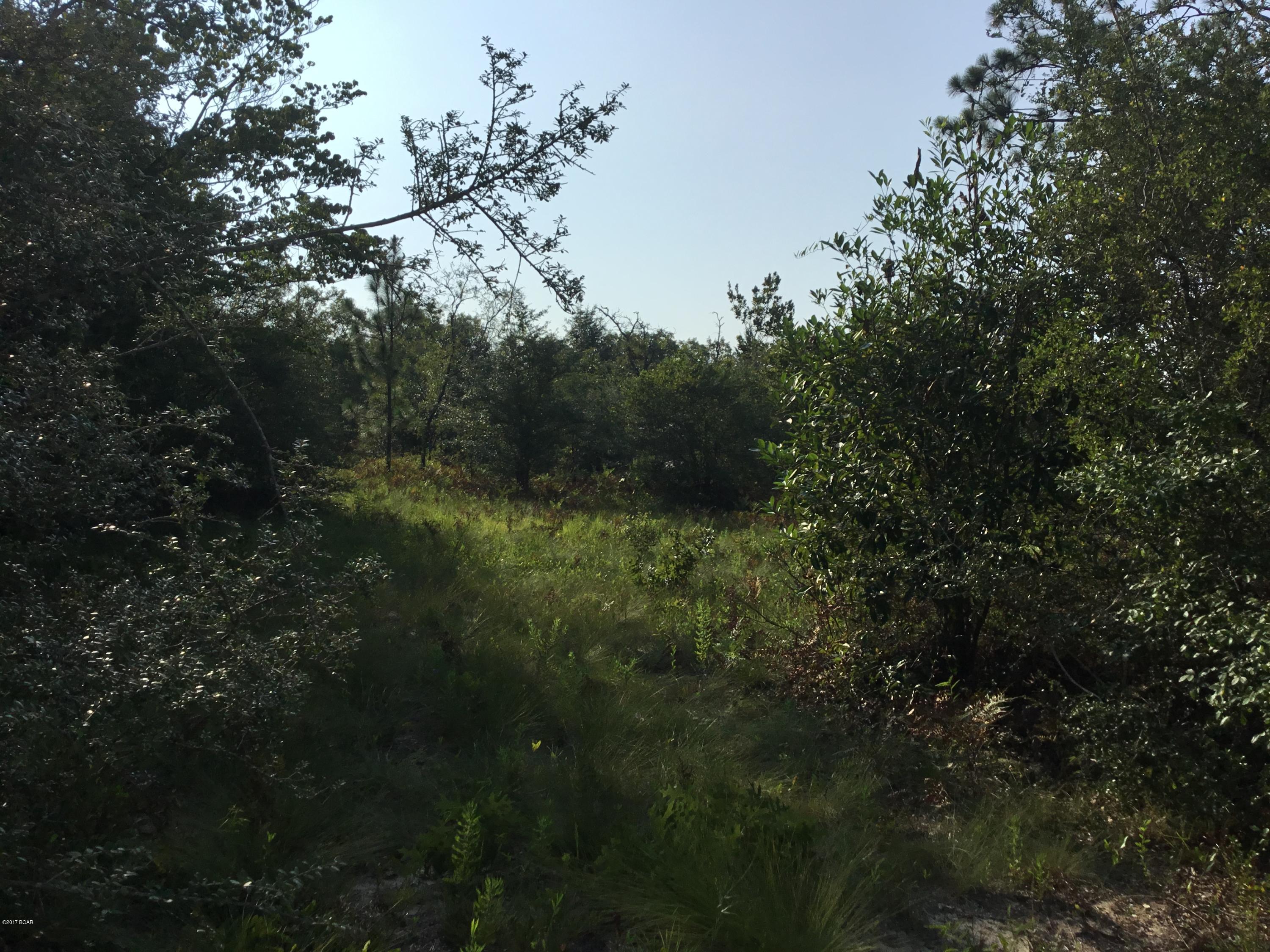 Buckhorn Creek - Land