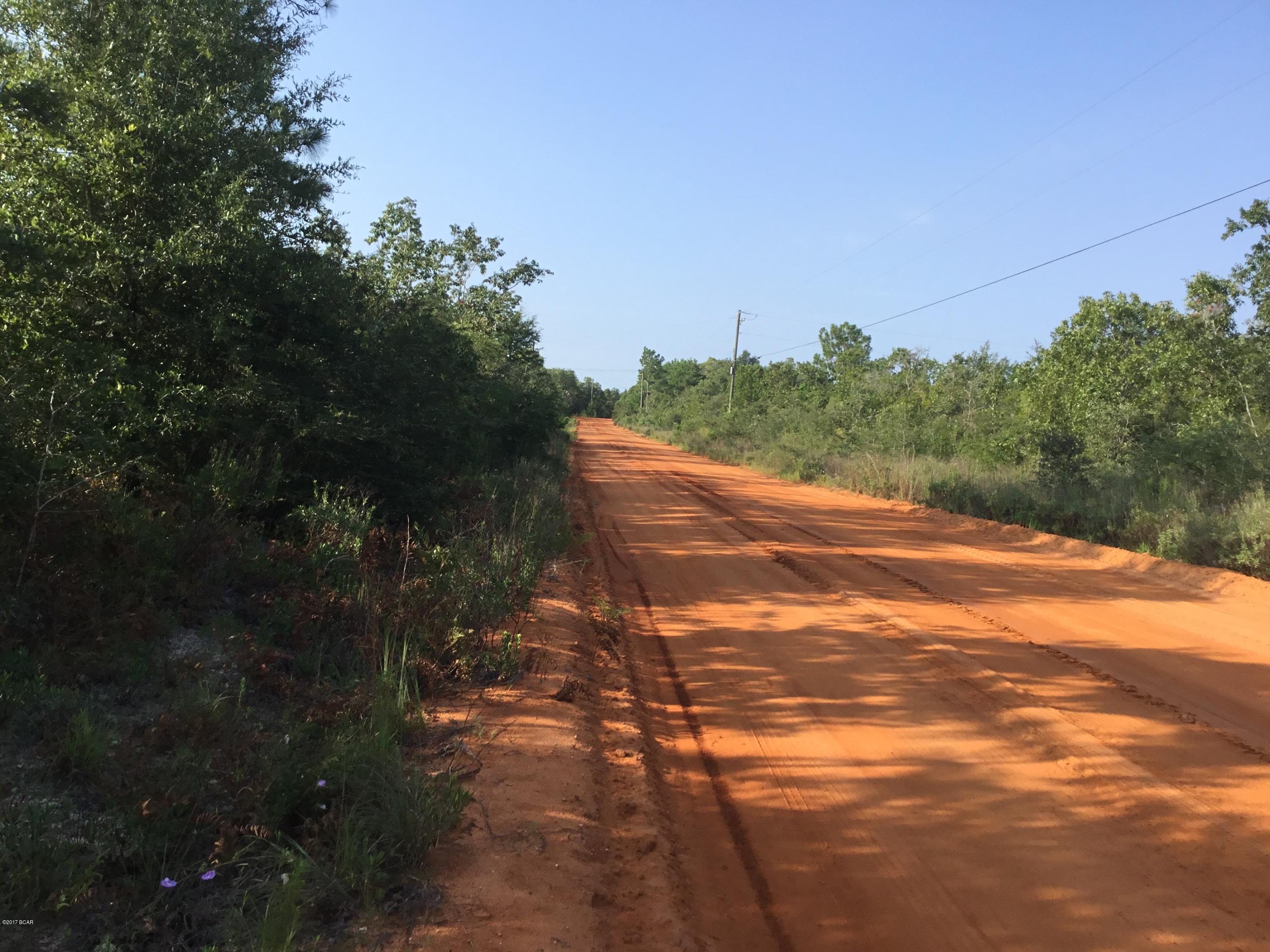 Buckhorn Creek - Land