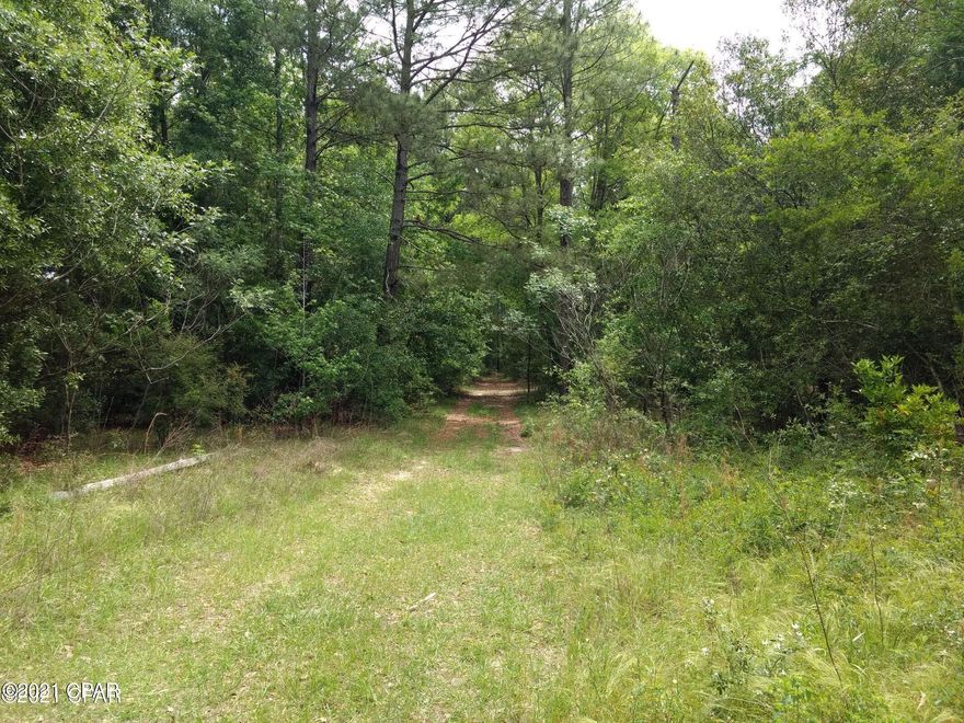 Very nice buildable lot in the country. Lot is lightly wooded. Lots of deer and wildlife in this area.