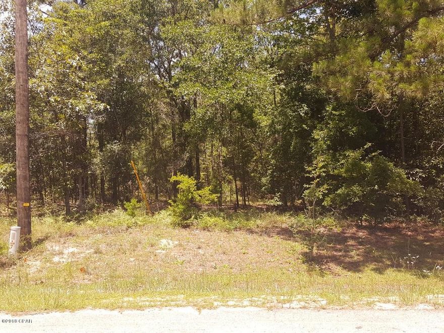 Rural area 1.52 acres, property is wooded, electric in area, well and septic tank needed, property is in a unrecorded subdivision, mobile homes are welcome, driveway needed, property does front paved road. Call listing agent for more details and set up showing for property. No trespassing.