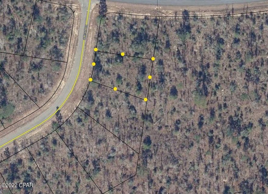 Nice building lot in Sunny Hills. This .24 acre lot is mostly wooded. There are several fishing lakes in the area, golf course, and seasonal swimming (there is a charge) at Boat Lake. Approx. 45 minutes to Panama City Beaches, 20 minutes to local shopping and medical in Chipley.