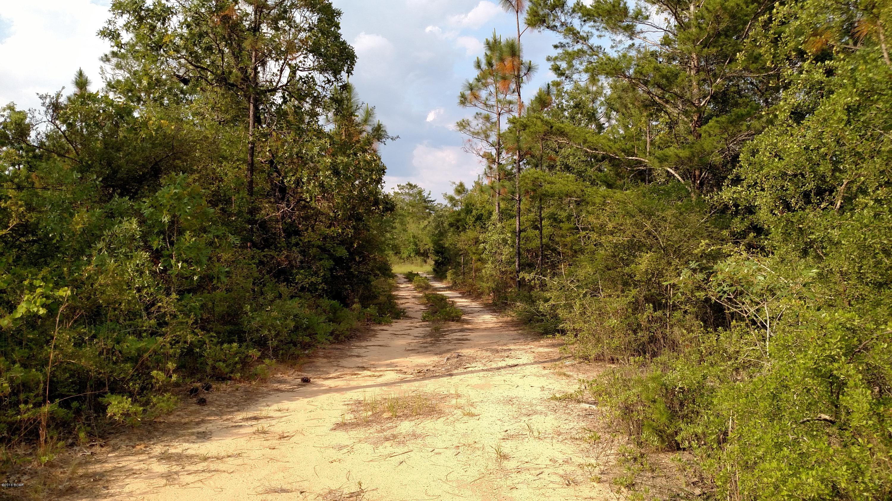 Buckhorn Creek - Land