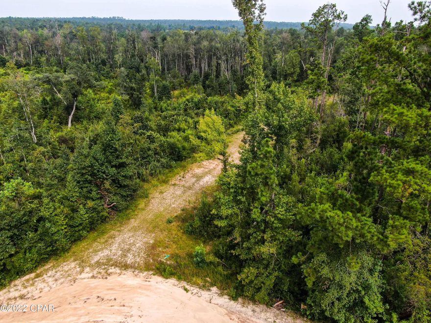 Seller willing to subdivide into two 25acre parcels. Approximately 51 Acres of Timberland. Zoned agriculture/conservation. If you are looking for privacy, look no further! This would make for a beautiful homesite, with two ponds and a creek that runs right down the middle of the property! The pond was a 1 1/2 acre wet bottom that was dug out, to approximate 3 acres the creek flows into. Pond has never run dry. Ideal homesite, farm site, hunting site, Camp. There is a good Duck and whitetail population. Make your own dream come true on this very nice parcel of land. This property backs up behind Compass Lake Subdivision creating multiple access points to the property!