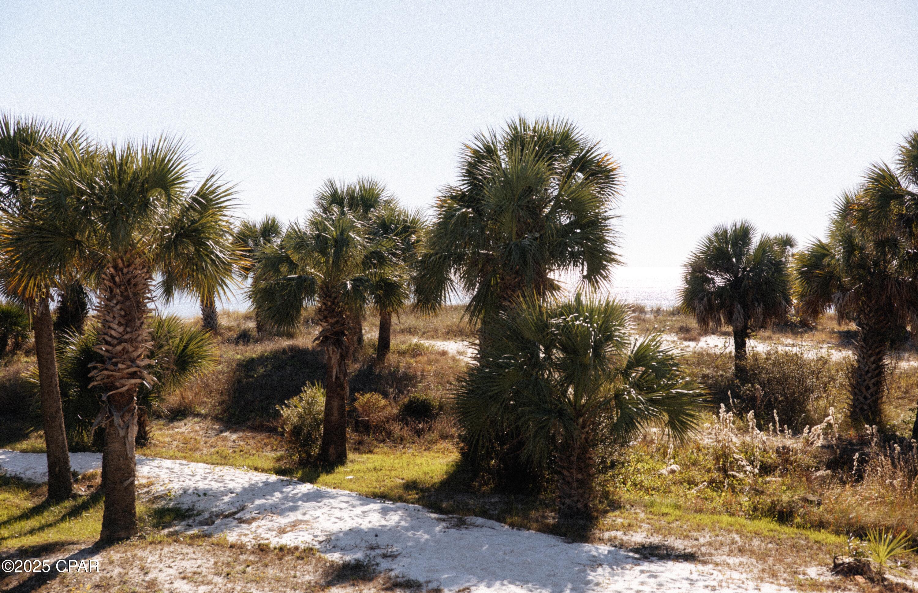 Camp Palms - Residential